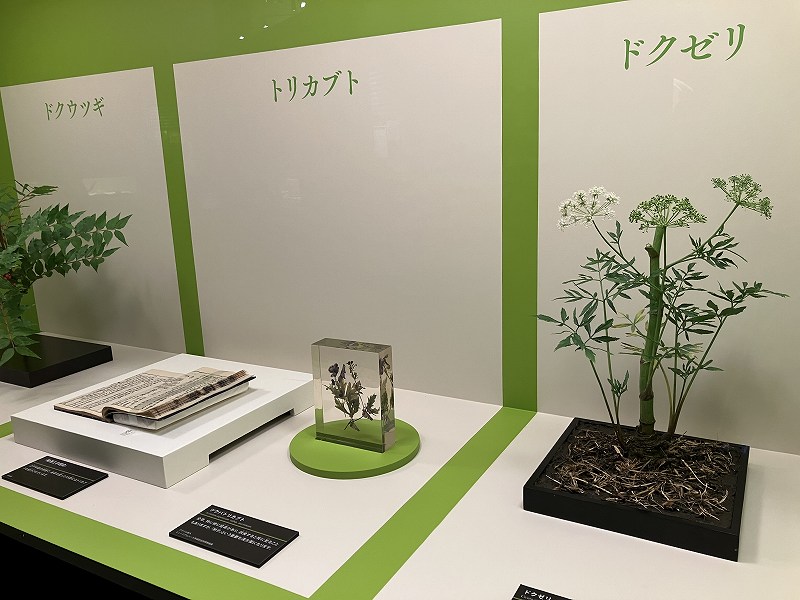 科学博物館特別展