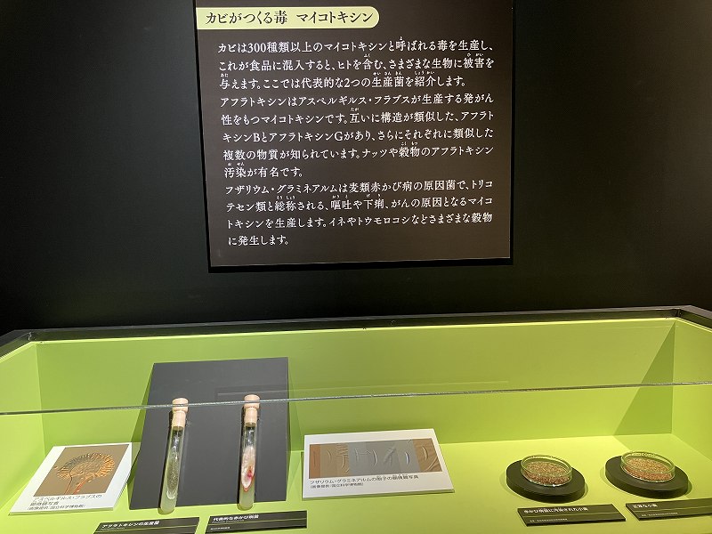 科学博物館特別展