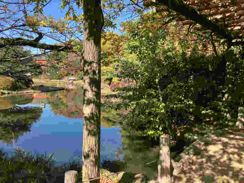 小石川植物園