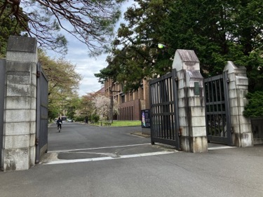 東北大学